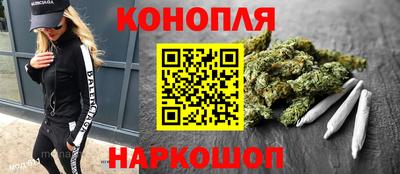 прущие грибы Будённовск