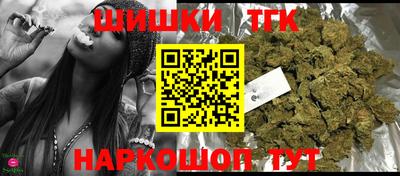 прущие грибы Будённовск