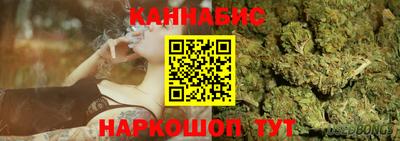 прущие грибы Будённовск