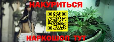 прущие грибы Будённовск