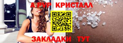 прущие грибы Будённовск