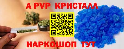 прущие грибы Будённовск